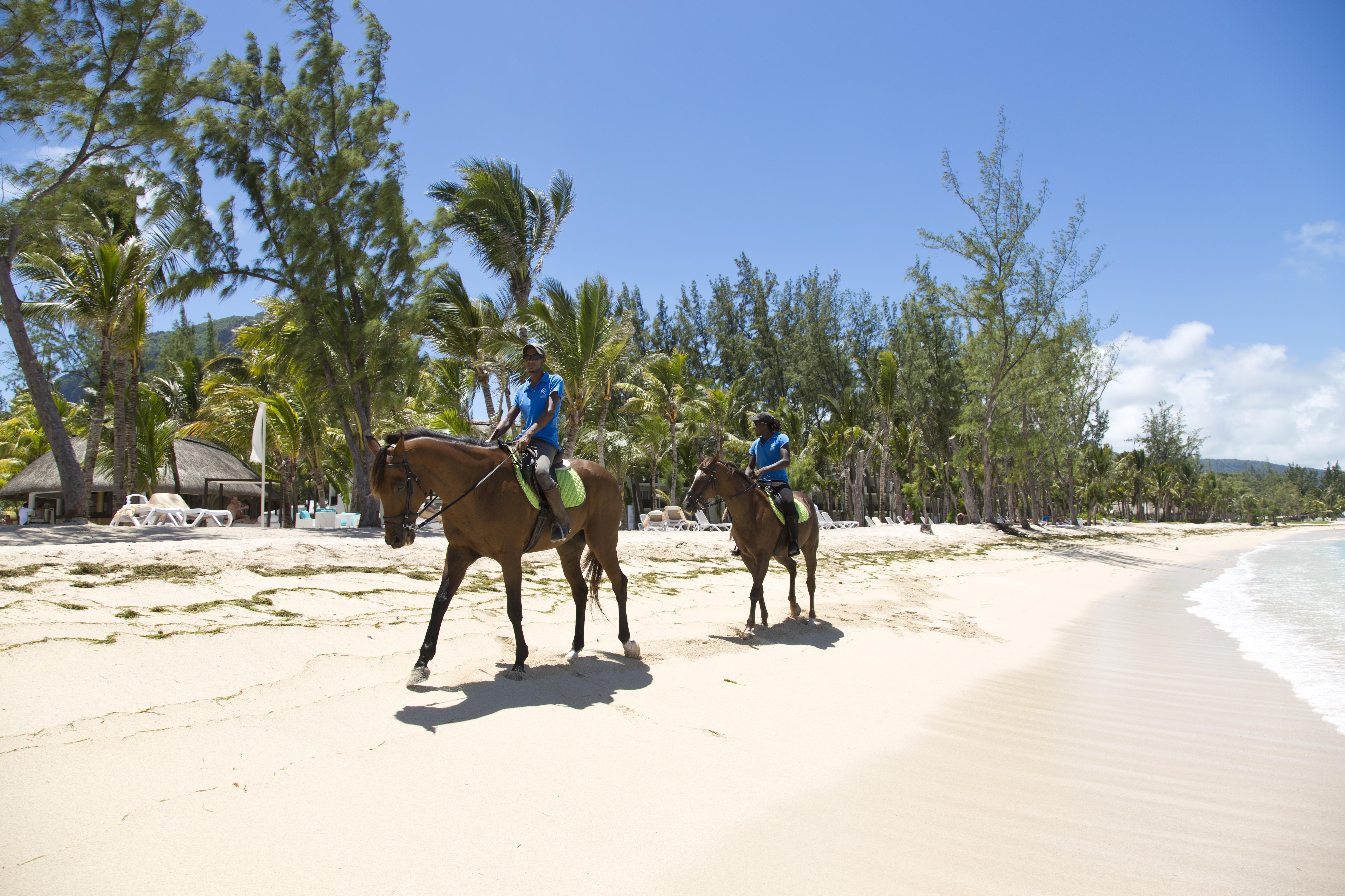 Teir abhaile riu celtic. Riu Creole 4* (Ле-Морн). Riu Creole 4 Маврикий. Риу-Бониту. Teir Abhaile Riu.